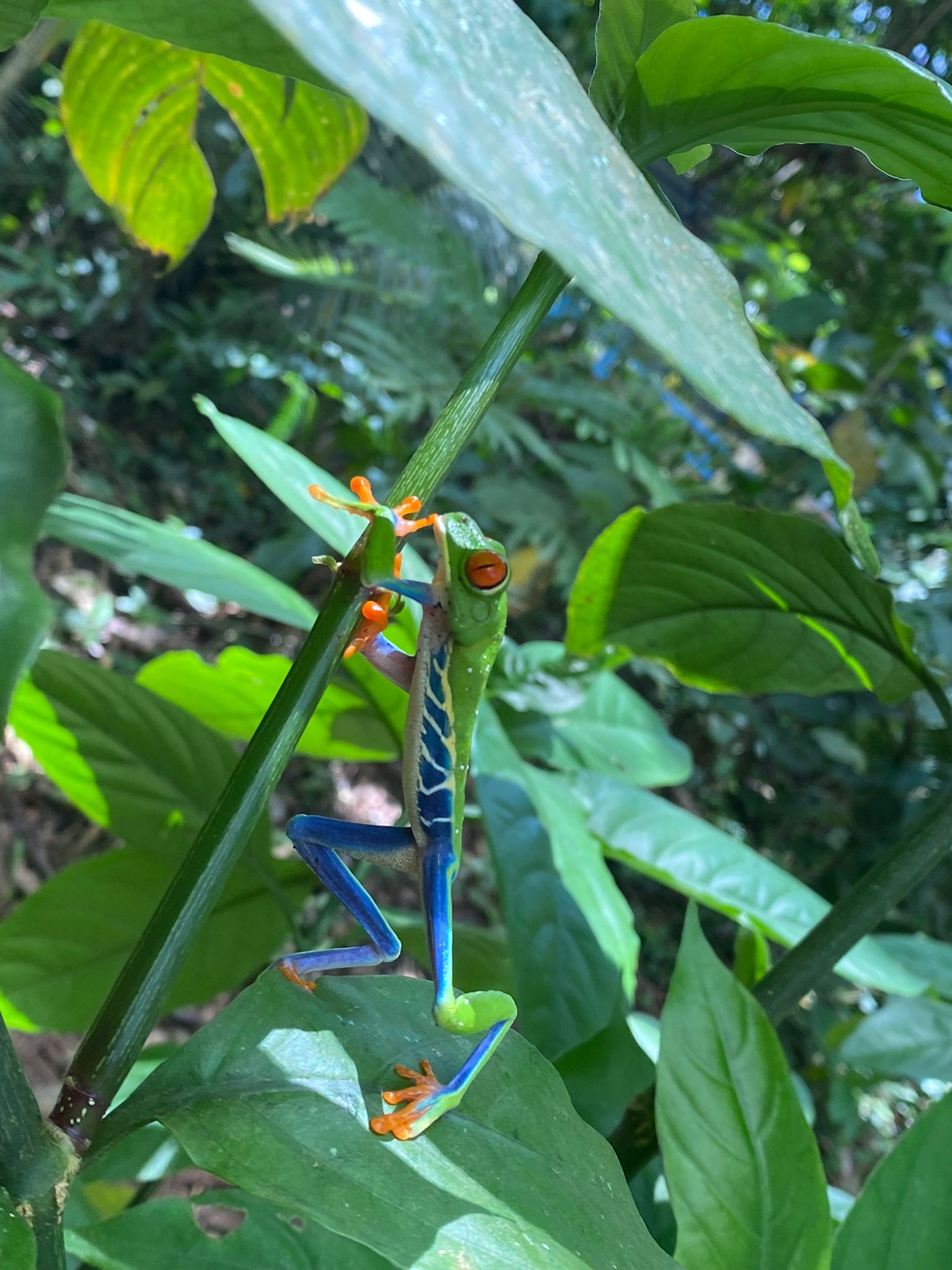 Costa Rica guest trip photo